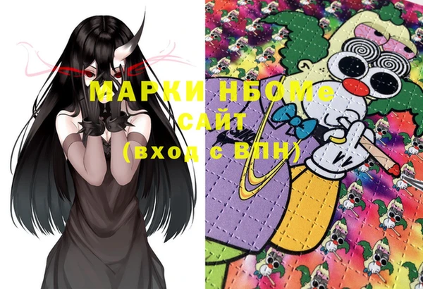 крисы Зерноград