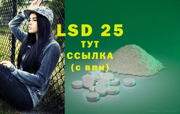 крисы Зерноград